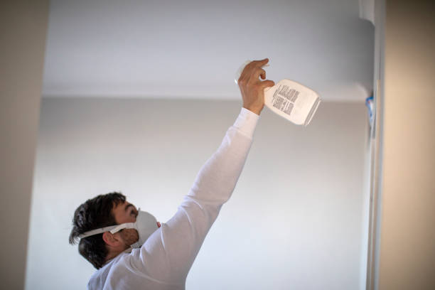 Best Same-Day Mold Removal  in Mexico Beach, FL