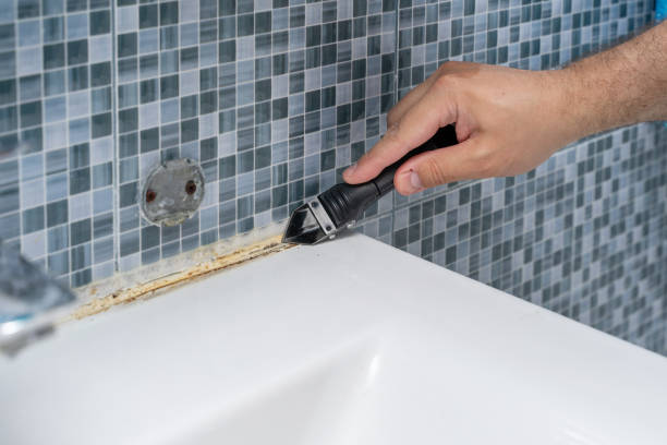 Best Home Mold Removal  in Mexico Beach, FL